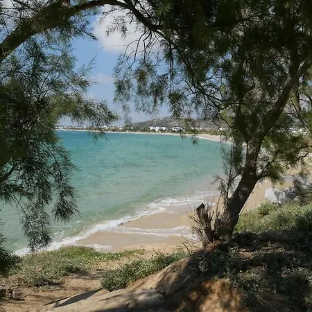 Naxos Orkos *